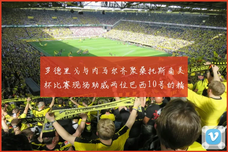 罗德里戈与内马尔齐聚桑托斯南美杯比赛现场助威两位巴西10号的精彩时刻